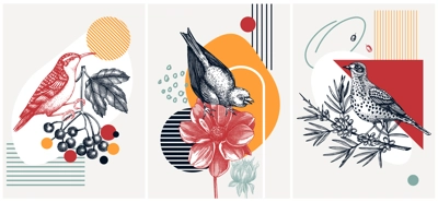 Collage-style bird background. Sketched bird trendy frame. Creative background with botanical illustration, geometric shapes, and abstract elements. Perfect for print, wall art, packaging and cards.